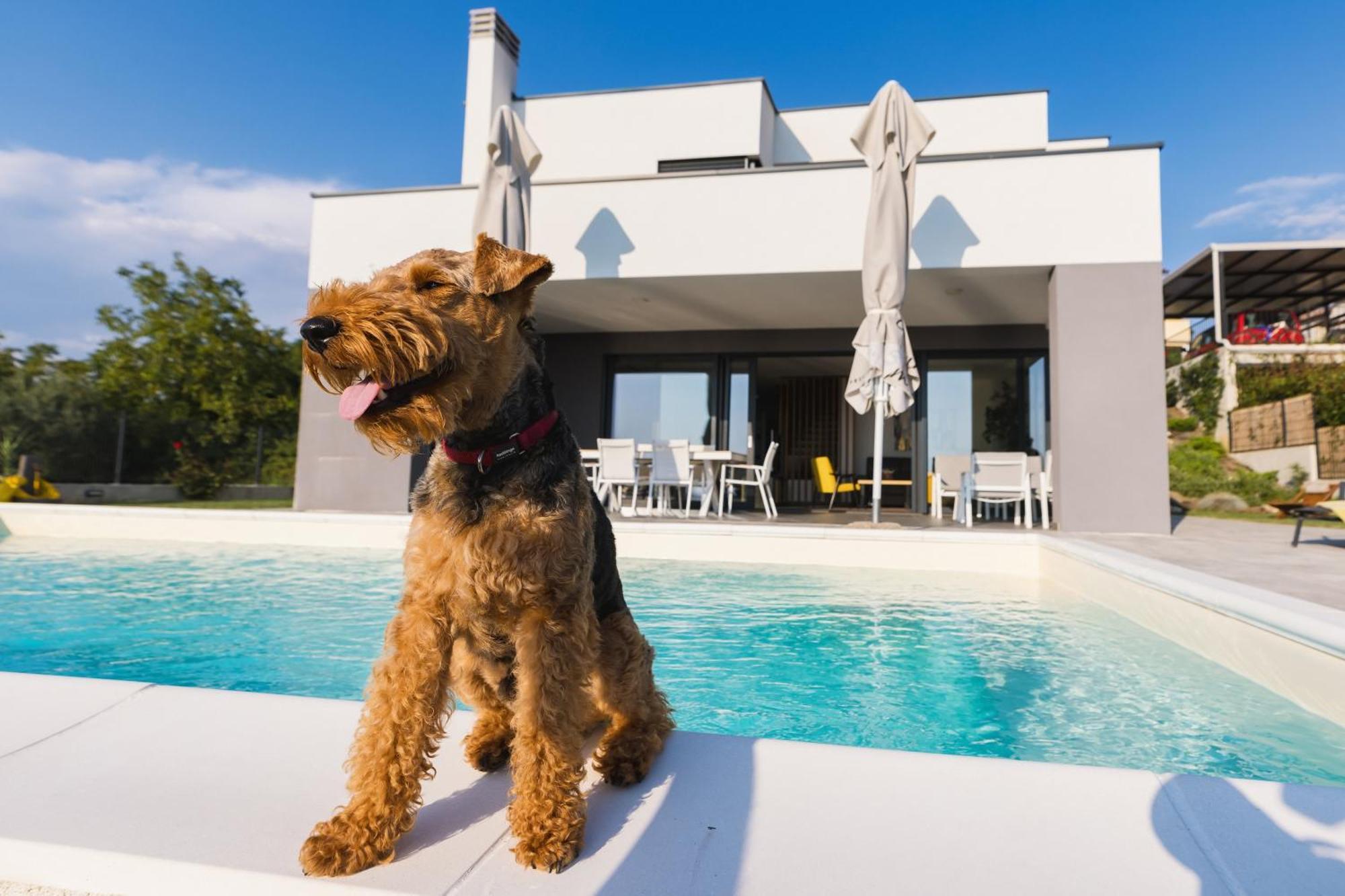 Villa Boiky - private pool&amazing sea view, Istria Materada Esterno foto